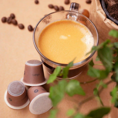 Welcher Kaffee ist säurearm?