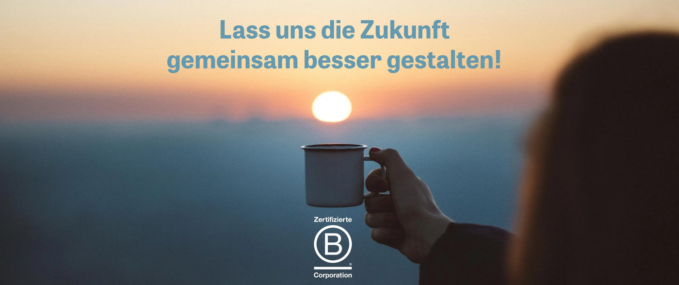 bcorp-zertifizierung-header-desktop