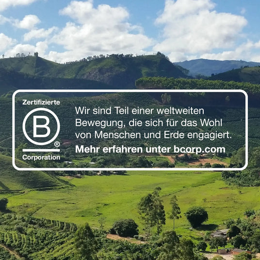 b-corp-logo-wald-cup-verde
