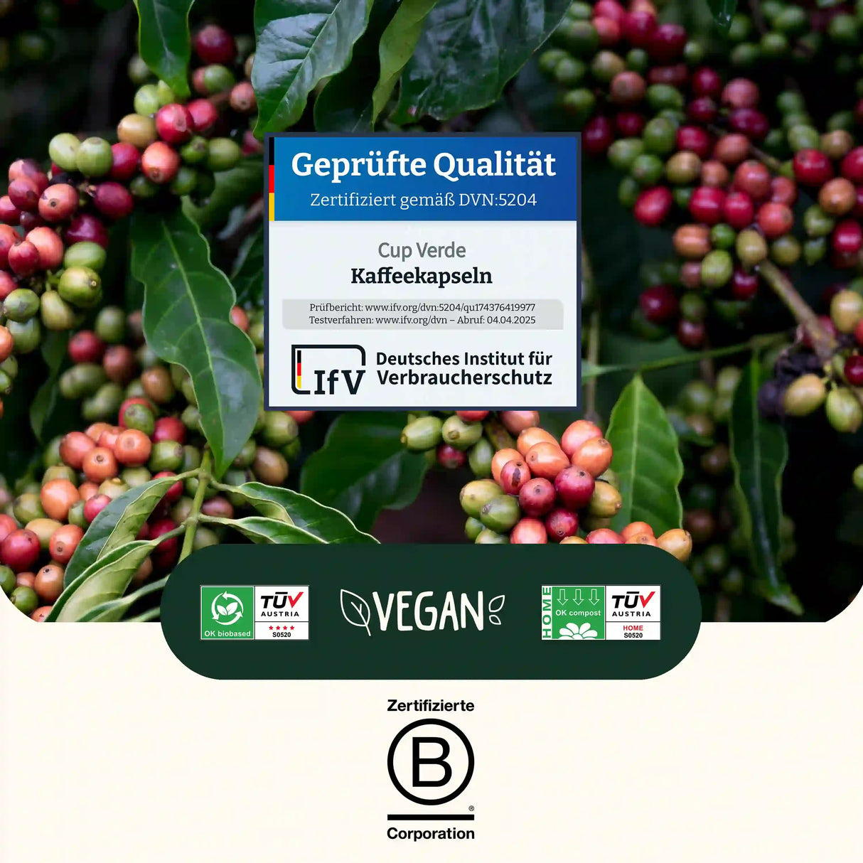 zertifizierte-nachhaltige-kaffeekapsel