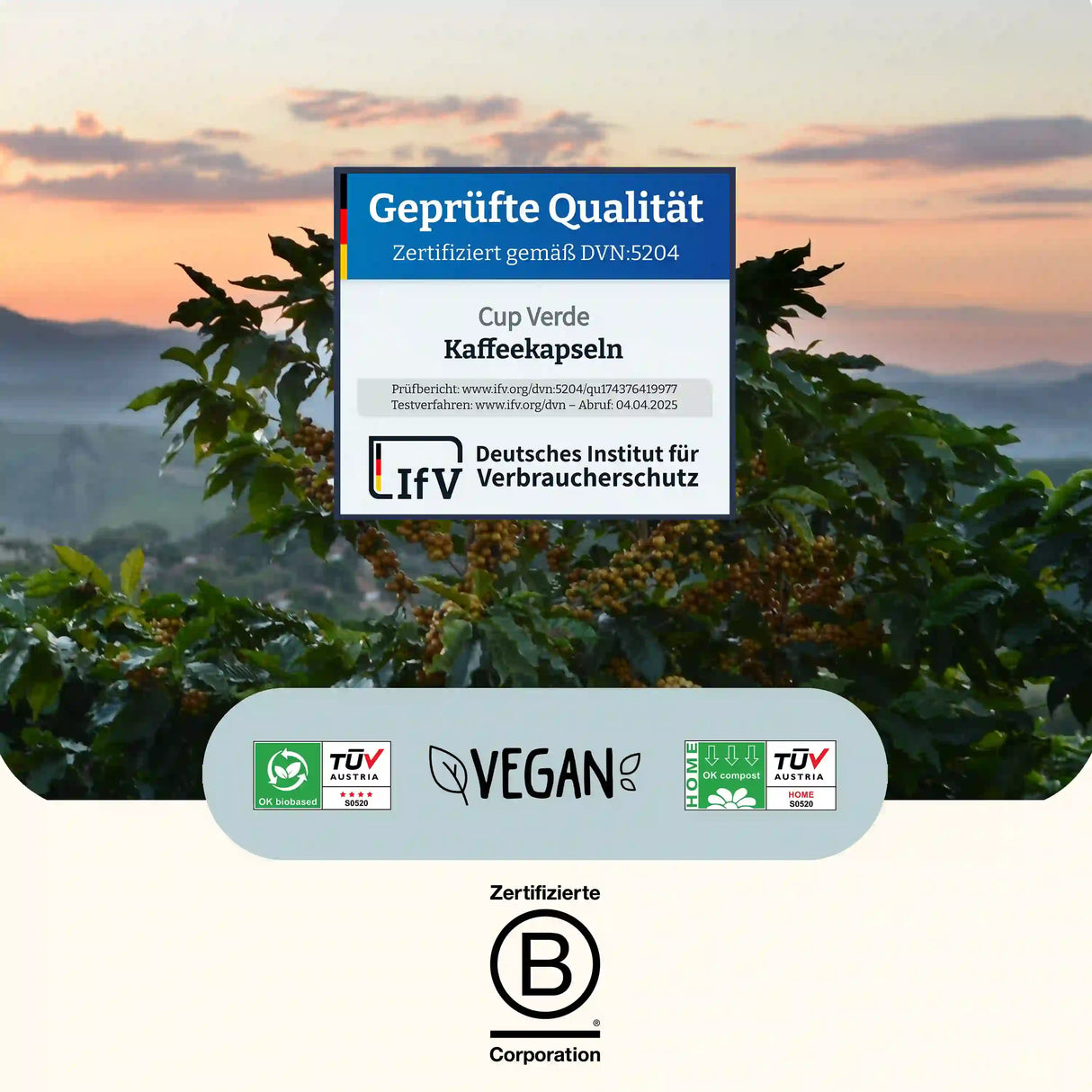 Haselnuss-Cup-Verde-zertifizierungen