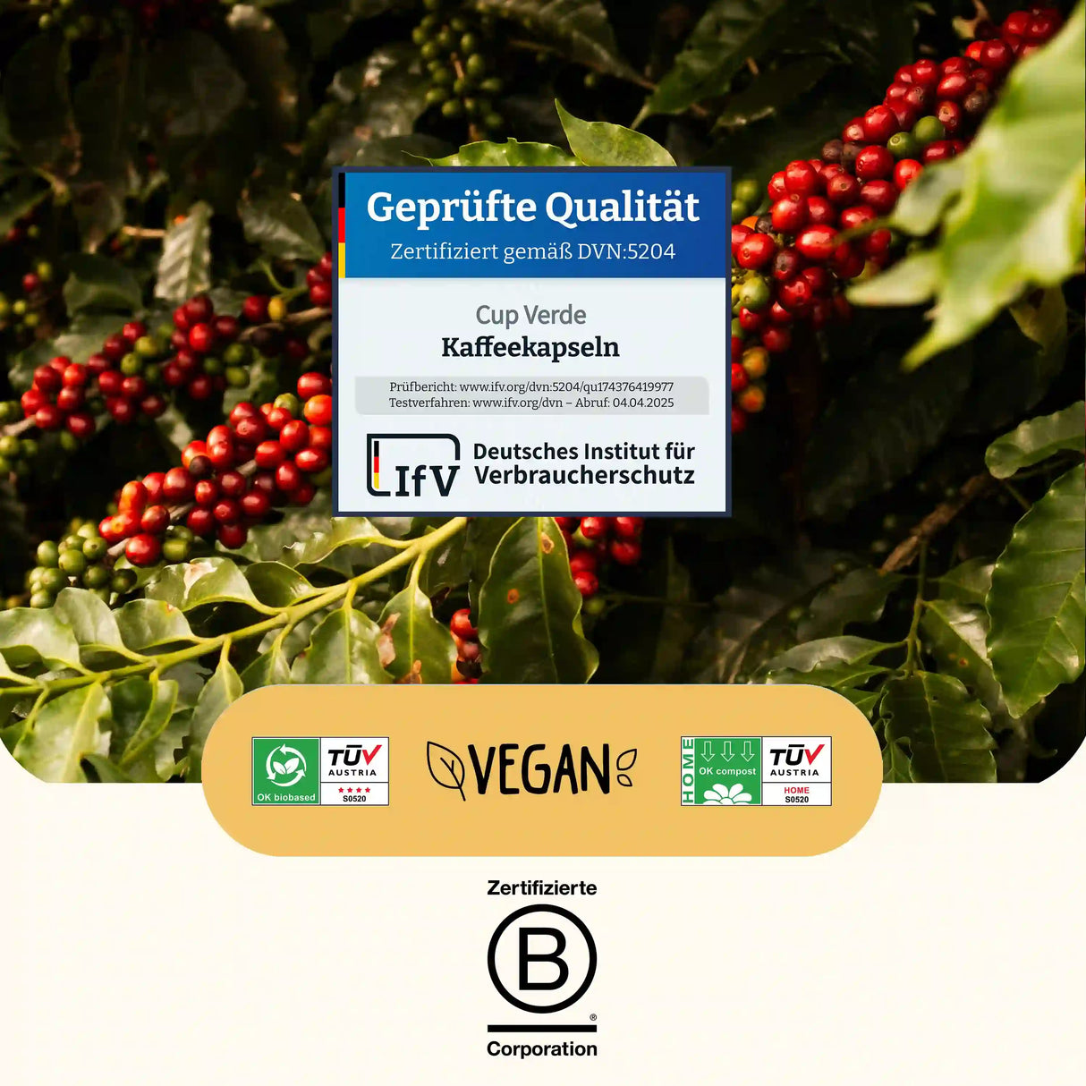silly-vanilly-cup-verde-zertifizierungen
