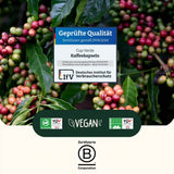 mixpaket-cup-verde-zertifizierungen