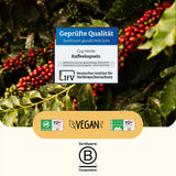 silly-vanilly-cup-verde-zertifizierungen